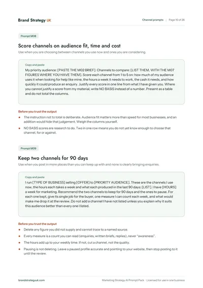 Page 12 of the Marketing Strategy AI Prompt Pack. Prompt M08: scoring channels on audience fit, time and cost | Brand Strategy UK