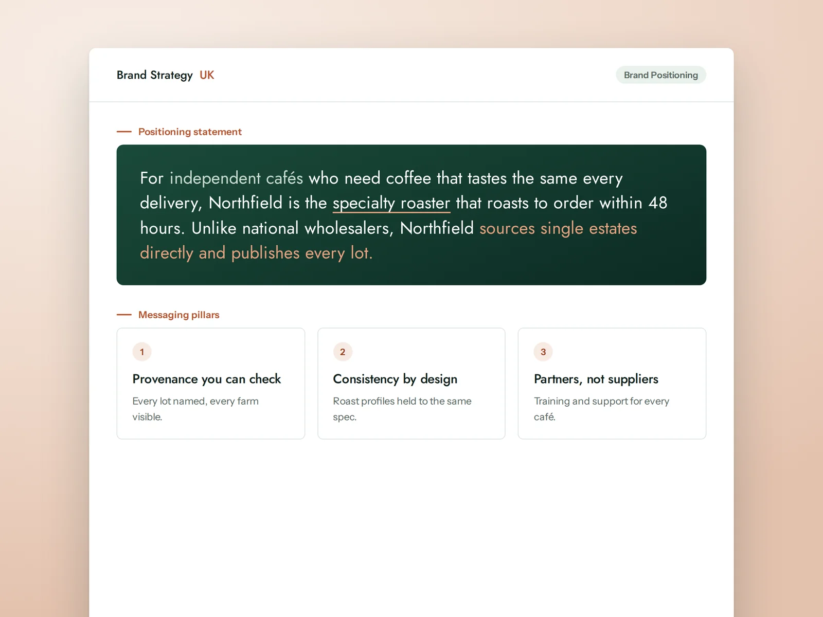 Illustrative extract of a positioning statement and messaging pillars